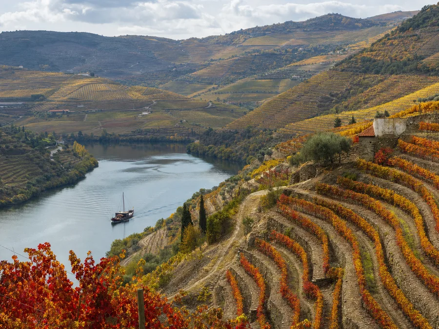 Douro Valley