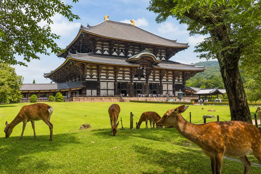 Nara