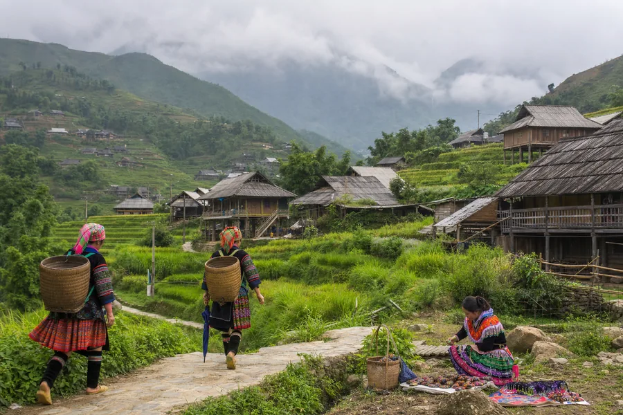 Sapa