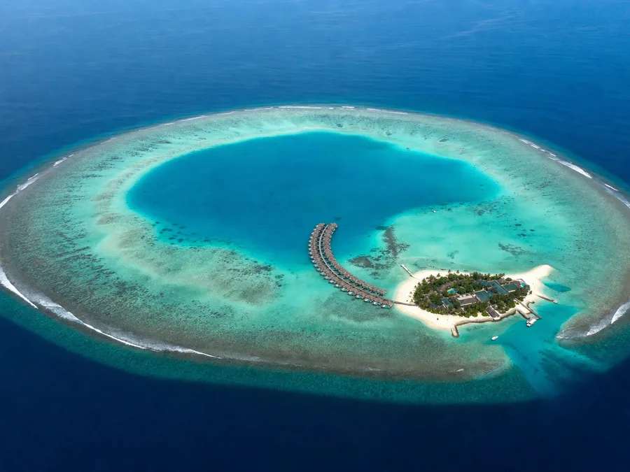 Island Buyout Incentive