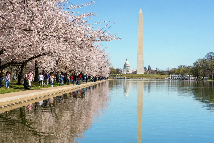 Washington DC